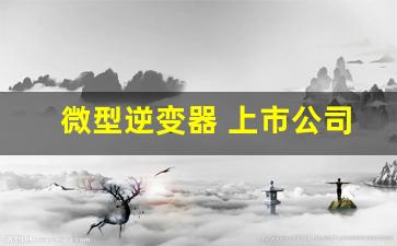 微型逆变器 上市公司(微型逆变器上市公司)_https://www.eamstsz.com_深交所_第1张